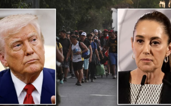 Mexican president declines Trump's offer of US troops to help fight drug cartels