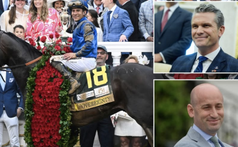 White House officials celebrate 'omen' of Kentucky Derby victor: 'Sovereignty will ALWAYS win'