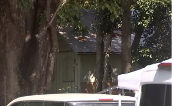 89-Year-Old Florida Man and His Pet Dog Killed in Suspected Bear Mauling: Reports