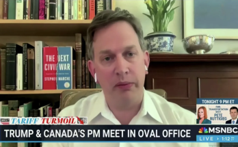 Canadian journalist mocks Americans, says they can be 'convinced of anything' under Trump