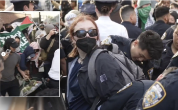 Anti-Israel mob descends on Brooklyn College in NYC as agitators brawl with police, get tased