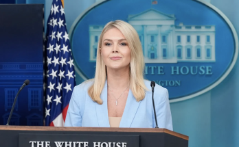 'New media' seat at White House briefings shakes up establishment with alternative to 'archaic' press