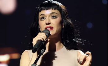 Katy Perry Addresses Being the 'Most Hated Person on the Internet' Onstage