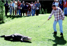 Adam Sandler Honors His Alligator Costar from Happy Gilmore After 80-Year-Old Reptile Dies