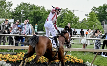 Journalism wins 150th Preakness Stakes after miraculous recovery in thrilling race