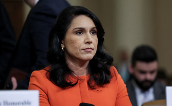 Federal air marshals surveilled Trump Cabinet member Gabbard in 2024, Rand Paul says