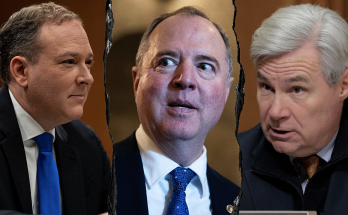 Adam Schiff tells EPA's Lee Zeldin he'll cause cancer after shoutfest: 'Could give a rat's a--'