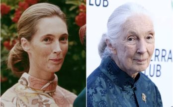 Jane Goodall, 91, Recalls Being Objectified for Her ‘Nice Legs’ Early on in Her Career — and Using It to Her Advantage