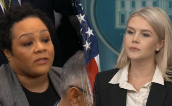 White House shuts down reporter's 'ridiculous' challenge of White South African farmer deaths
