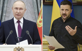 Hundreds of Ukrainian prisoners released in swap with Russia, Zelenskyy says