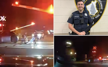 Dramatic video shows hero cops drag dazed driver from car before train smashes into it