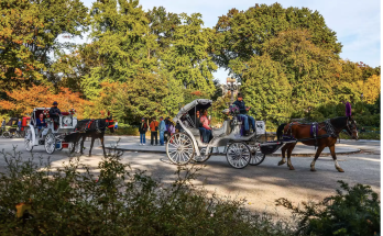 N.Y.C. Horse-Drawn Carriage Crash Sparks Renewed Calls for Ban as 2 Operators Are Hospitalized