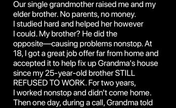 My Brother Put Grandma in a Nursing Home and Secretly Sold Her House – but Grandma and I Got Sweet Revenge