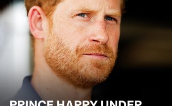Prince Harry Sparked Buzz After Allegedly Seeking Advice from His Uncle on Changing His Family Name