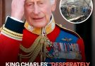 King Charles 'Desperately Shocked' by Plane Crash With at Least 200 Fatal Victims