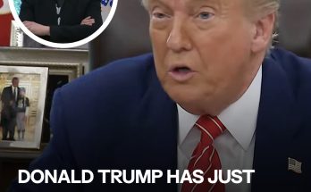 Elon Musk, 53, Sports a Black Eye at Oval Office Farewell Conference With Donald Trump, Sparking Online Stir — Photos