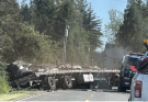 250 Million Bees Swarm Washington State After Escaping Overturned Truck: ‘Stay Away'