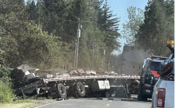 250 Million Bees Swarm Washington State After Escaping Overturned Truck: ‘Stay Away'
