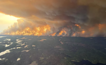 Smoke from Canadian Wildfires That Forced 17,000 to Evacuate Is Expected to Hit the U.S.