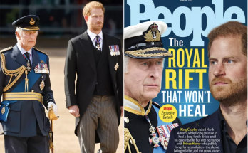 Prince Harry and King Charles' Royal Rift That Won't Heal: 'The Underlying Issue Is Trust' (Exclusive)