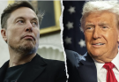 Musk unleashes wild Epstein claim against Trump after being booted from DOGE