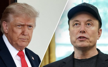 LIZ PEEK: Five critical takeaways from the epic Trump-Musk rumble