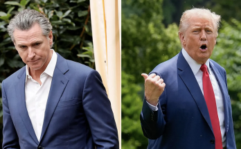 Trump gives blunt response to Newsom daring Homan to arrest him: 'I would'