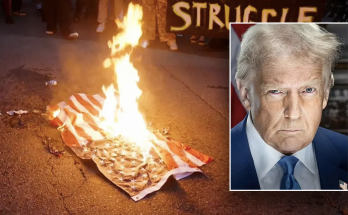 Trump vows consequences for 'animals' burning American flags in LA, slams those waving other countries' flags