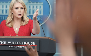 White House rips 'shameful' LA riots as Trump steps in where Newsom, Bass failed, Leavitt says