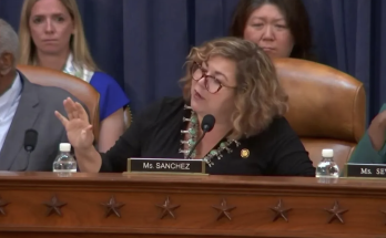Democrat congresswoman draws boos over 'shameful' sexism remark in committee hearing with Treasury Secretary