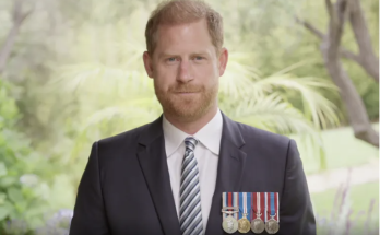 Prince Harry Shows Off His Impressive German-Speaking Skills as He Delivers Speech to Mark Nation's First Veteran's Day